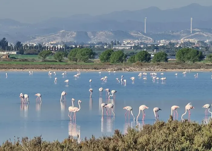 Pampering Dream, A Stunning Luxury Retreat At Yialos Village