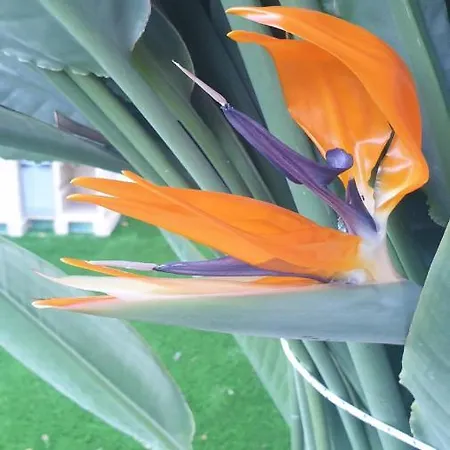 بيت للعطل Pampering Dream, A Stunning Luxury Retreat At Yialos Village *