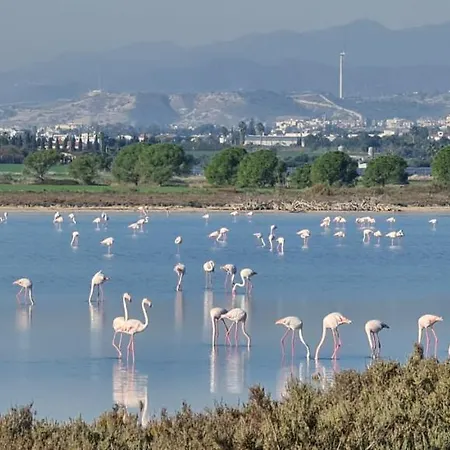 Pampering Dream, A Stunning Luxury Retreat At Yialos Village