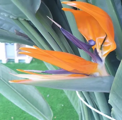 Prázdninový dům Pampering Dream, A Stunning Luxury Retreat At Yialos Village *